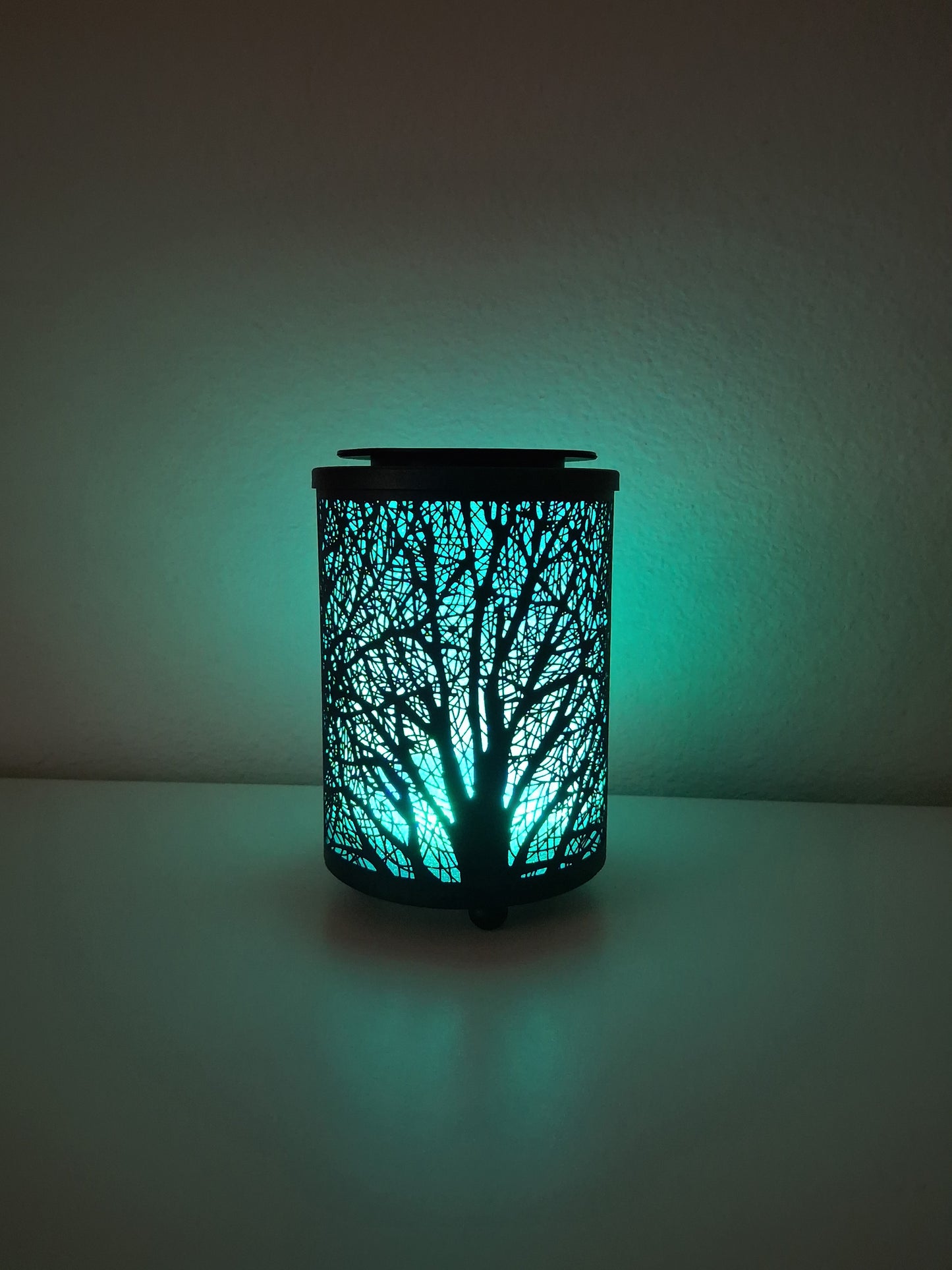 Wax melt warmer